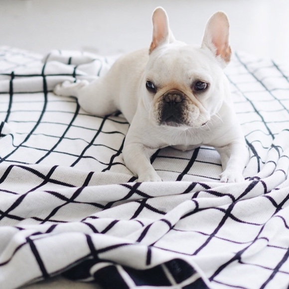 Meet your Posher, Vida - Picture 3 of 7